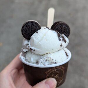 Meet your Posher, Amie